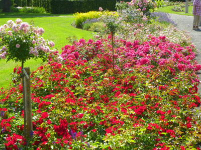 Rosengarten Bad Langensalza Rosengarten Bad Langensalza