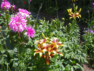 Rosengarten Bad Langensalza Rosengarten Bad Langensalza